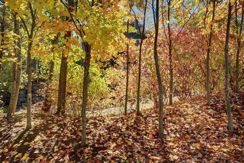 Jardin Du Village By Chez Tremblant Mont-Tremblant Quarto foto